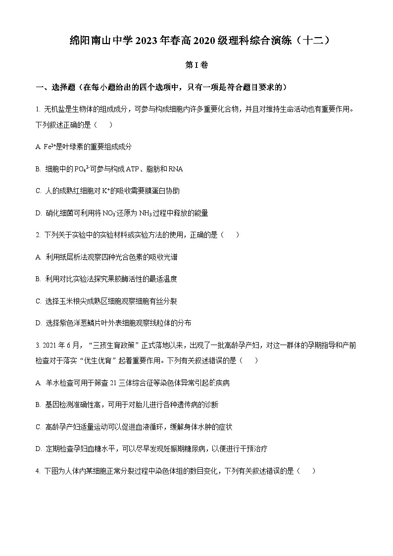 四川省绵阳市2023届南山中学高三上学期第十二次理综演练生物试题  Word版无答案第1页