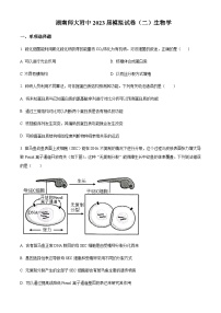 2023届湖南师范大学附属中学高三下学期模拟考试（二）生物试题含答案