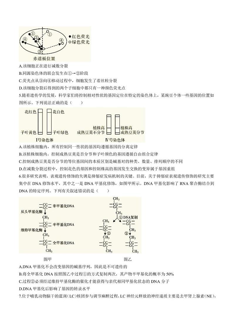 2023届湖南省邵阳市高三三模生物试题PDF版含答案02