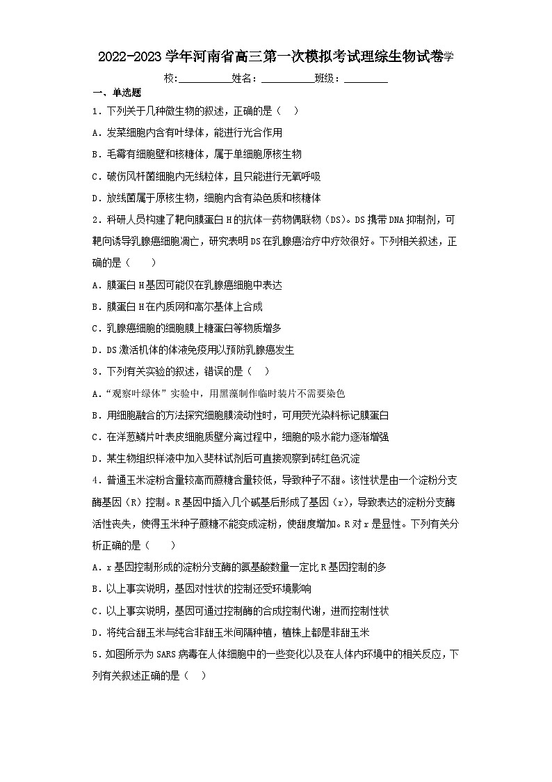 2022-2023学年河南省高三第一次模拟考试理综生物试卷（含解析）01