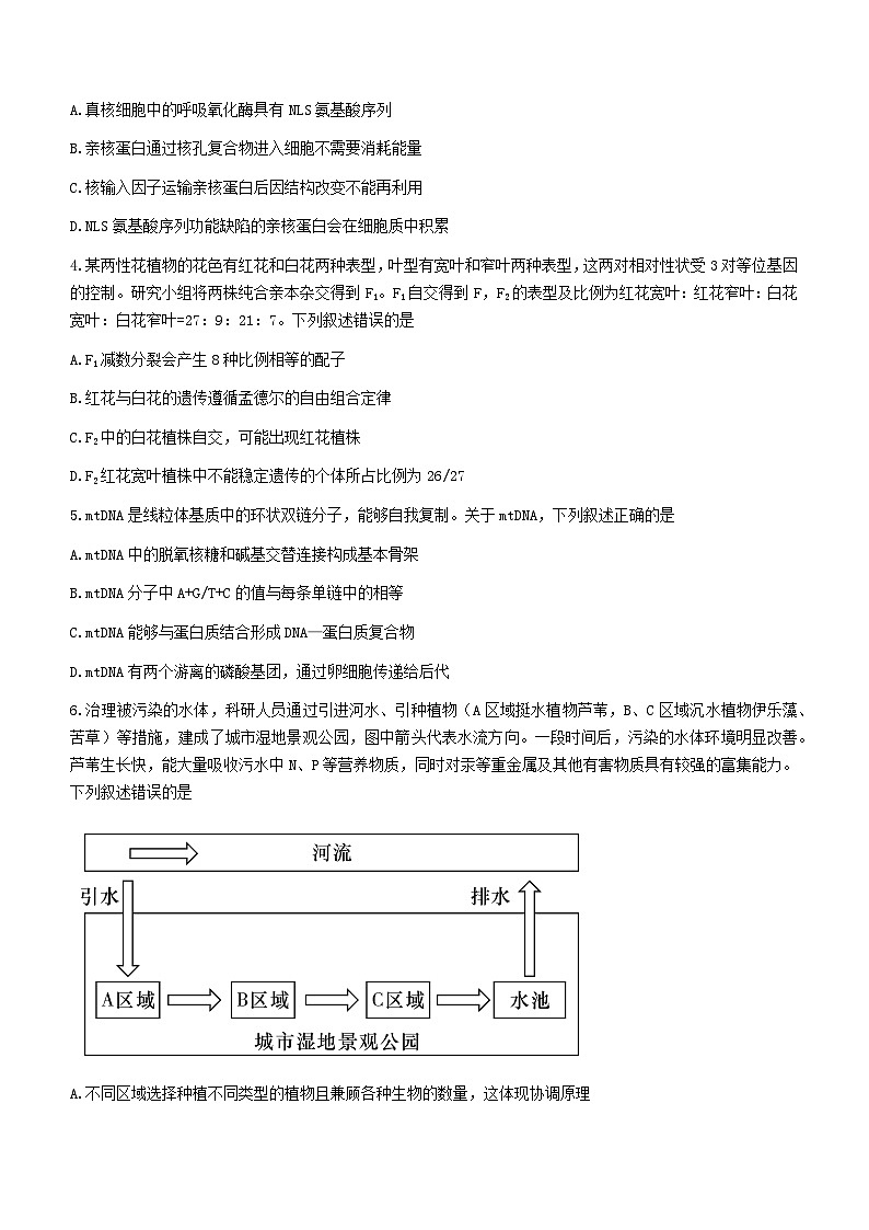 湖南省娄底市2023届高三生物下学期高考仿真模拟（四模）（Word版附解析）第2页