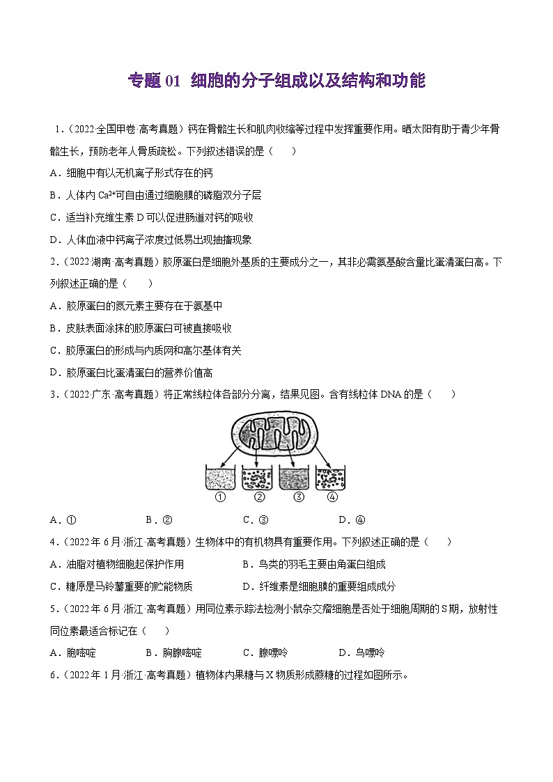 专题01 细胞的分子组成以及结构和功能——【全国通用】2020-2022三年高考生物真题分类汇编（原卷版+解析版）01