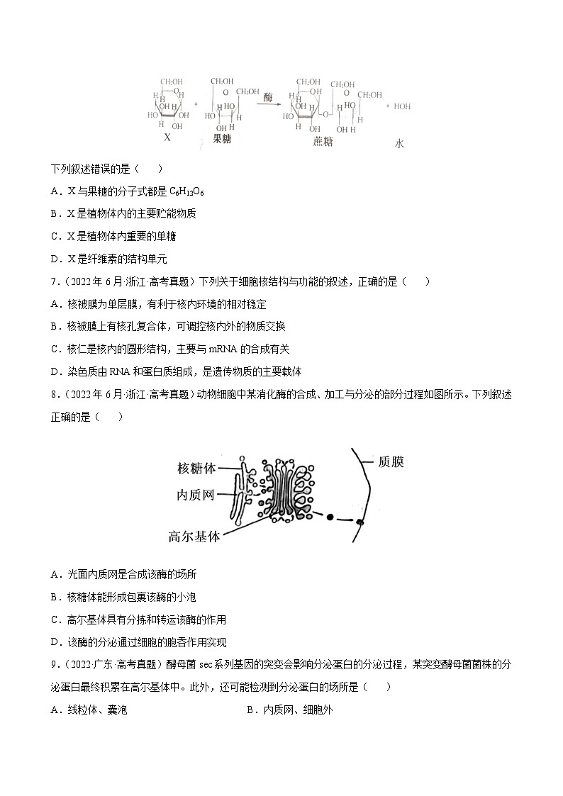 专题01 细胞的分子组成以及结构和功能——【全国通用】2020-2022三年高考生物真题分类汇编（原卷版+解析版）02