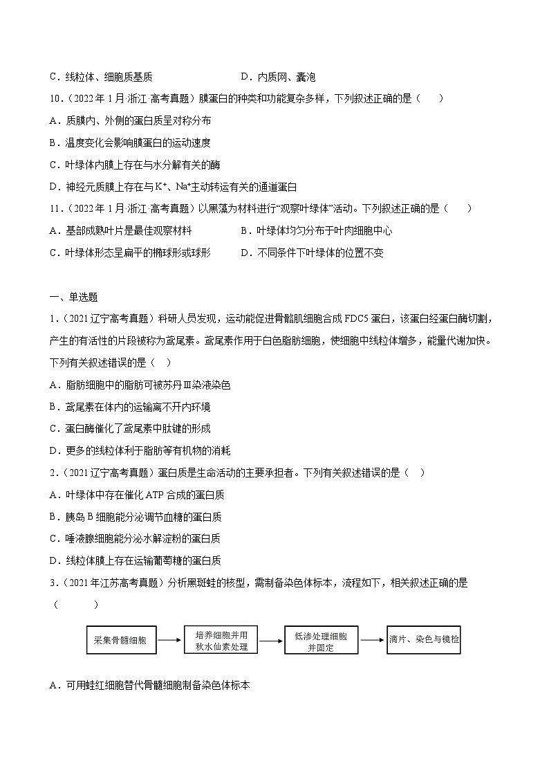 专题01 细胞的分子组成以及结构和功能——【全国通用】2020-2022三年高考生物真题分类汇编（原卷版+解析版）03