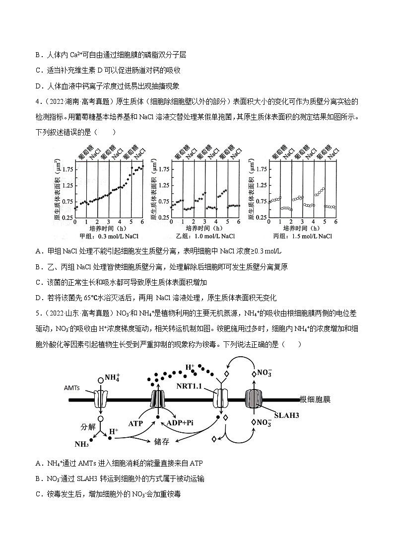 专题02 细胞的物质运输、酶与ATP——【全国通用】2020-2022三年高考生物真题分类汇编（原卷版）第2页