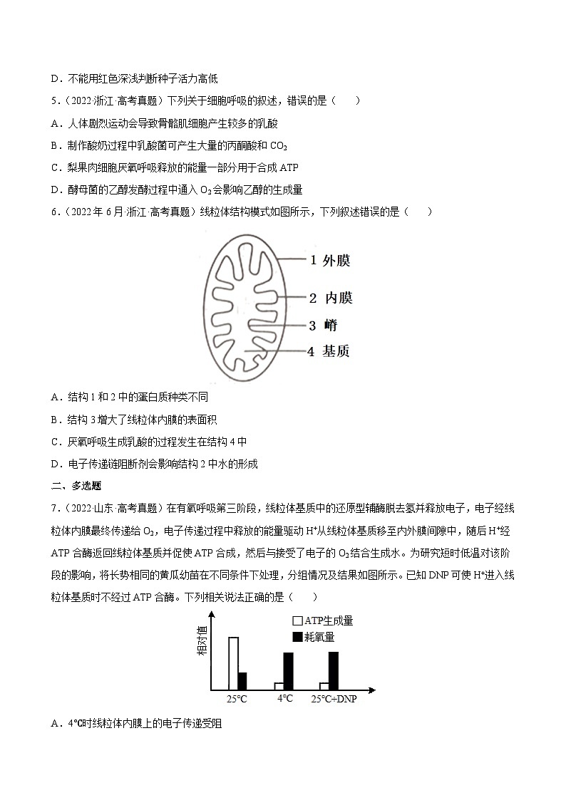 专题03 光合作用和细胞呼吸——【全国通用】2020-2022三年高考生物真题分类汇编（原卷版+解析版）02