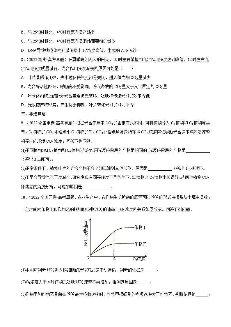 专题03 光合作用和细胞呼吸——【全国通用】2020-2022三年高考生物真题分类汇编（原卷版+解析版）03
