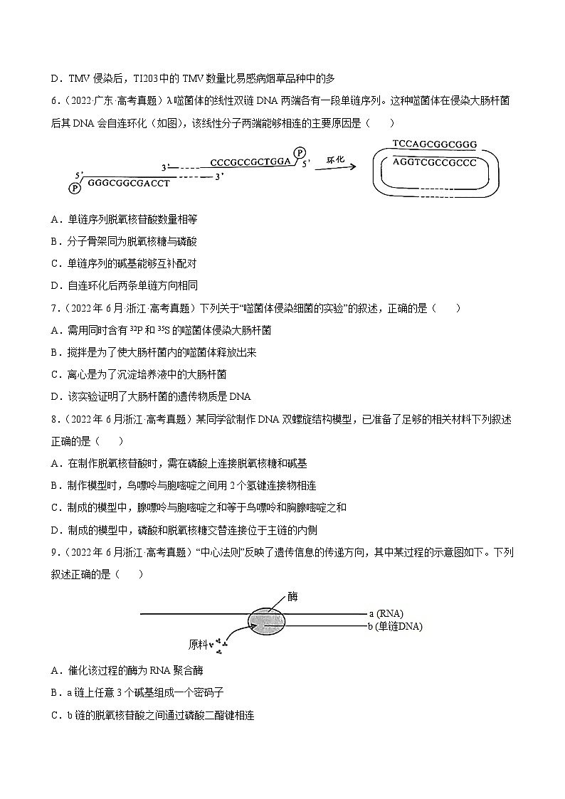 专题05 遗传的分子基础——【全国通用】2020-2022三年高考生物真题分类汇编（原卷版+解析版）02