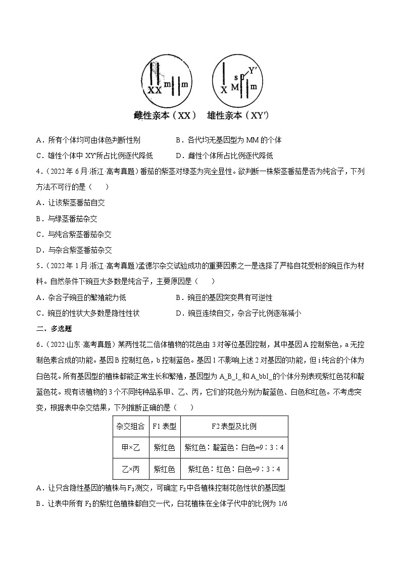专题06 基因的分离定律和自由组合定律——【全国通用】2020-2022三年高考生物真题分类汇编（原卷版+解析版）02