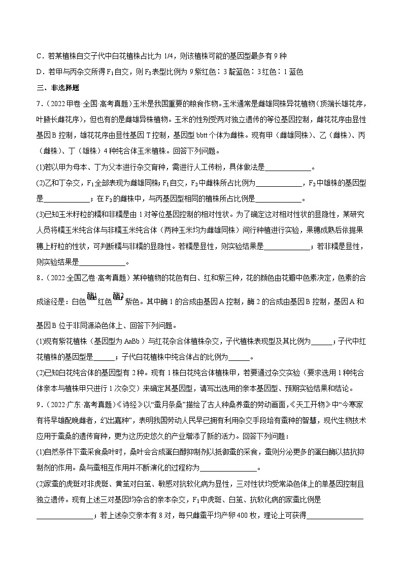 专题06 基因的分离定律和自由组合定律——【全国通用】2020-2022三年高考生物真题分类汇编（原卷版+解析版）03