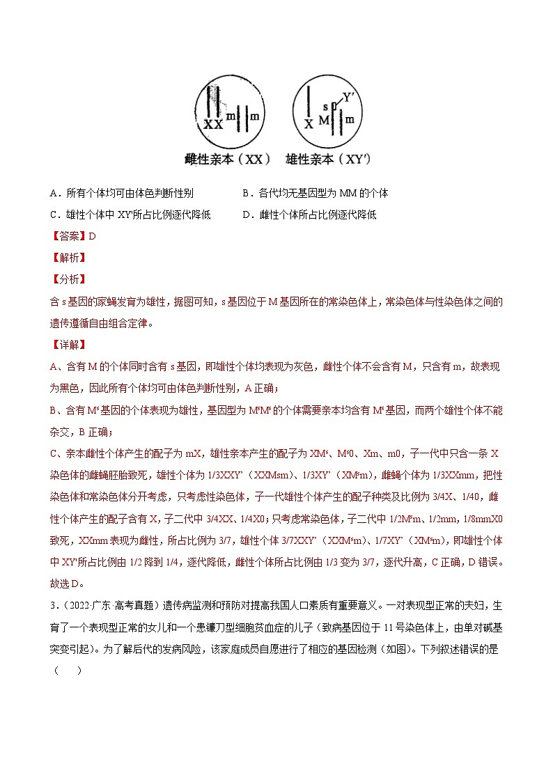 专题07 伴性遗传和人类遗传病——【全国通用】2020-2022三年高考生物真题分类汇编（原卷版+解析版）02