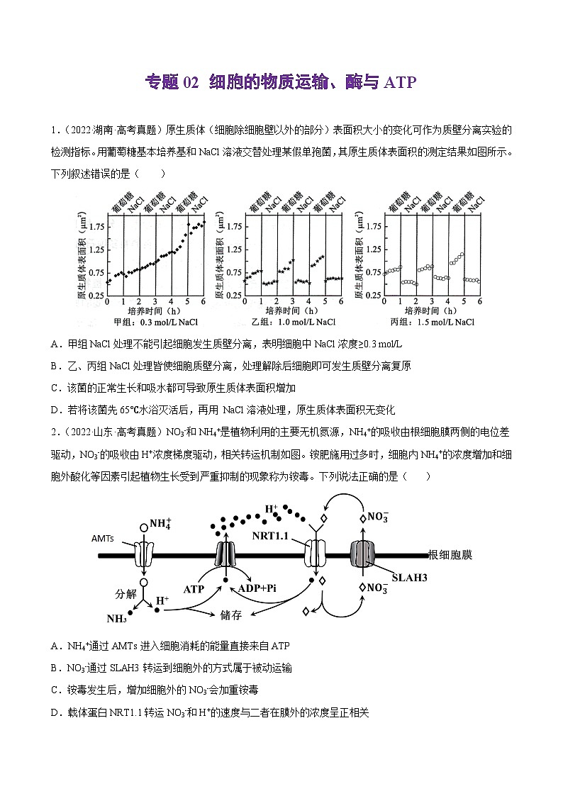 专题02 细胞的物质运输、酶与ATP——【新高考专用】2020-2022三年高考真题生物分类汇编（原卷版+解析版）01