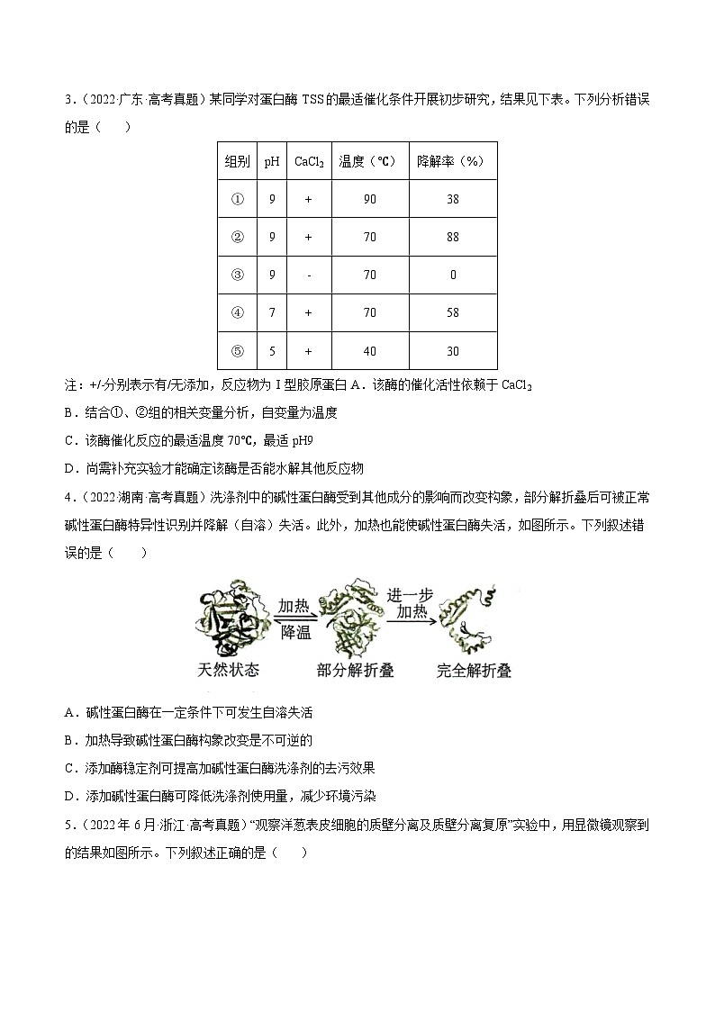 专题02 细胞的物质运输、酶与ATP——【新高考专用】2020-2022三年高考真题生物分类汇编（原卷版+解析版）02