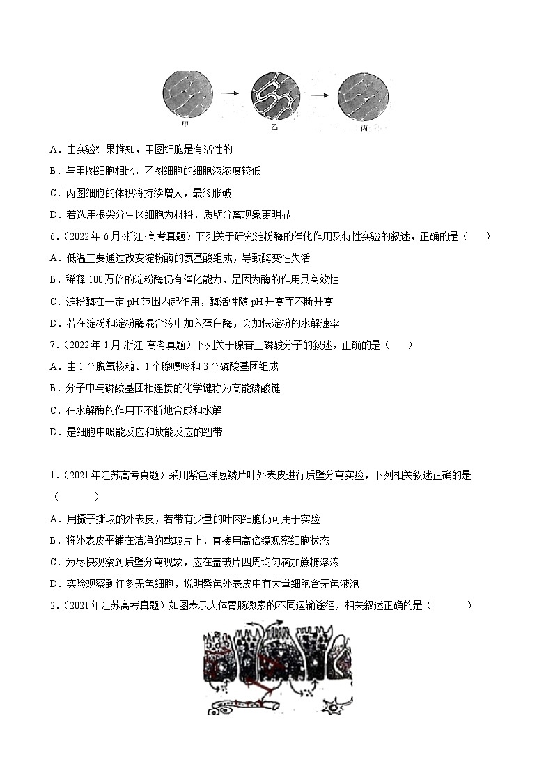 专题02 细胞的物质运输、酶与ATP——【新高考专用】2020-2022三年高考真题生物分类汇编（原卷版+解析版）03