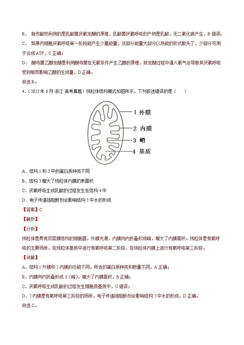 专题03 光合作用和细胞呼吸——【新高考专用】2020-2022三年高考真题生物分类汇编（原卷版+解析版）03