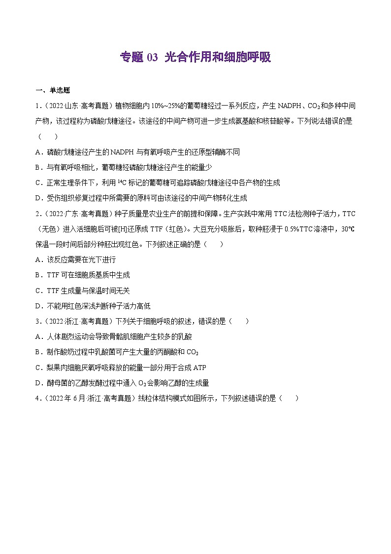 专题03 光合作用和细胞呼吸——【新高考专用】2020-2022三年高考真题生物分类汇编（原卷版+解析版）01