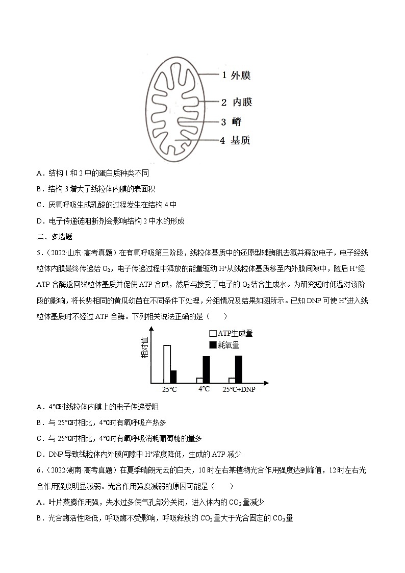 专题03 光合作用和细胞呼吸——【新高考专用】2020-2022三年高考真题生物分类汇编（原卷版+解析版）02
