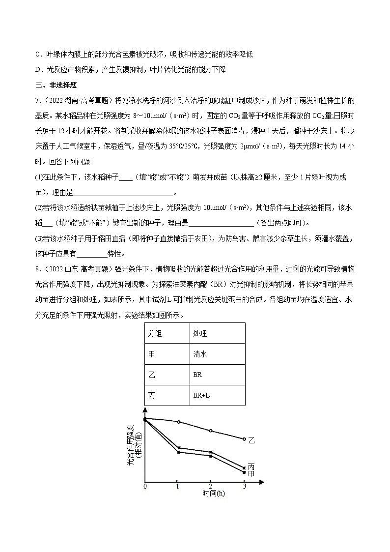 专题03 光合作用和细胞呼吸——【新高考专用】2020-2022三年高考真题生物分类汇编（原卷版+解析版）03