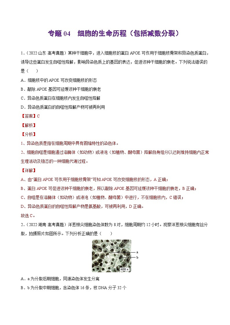专题04 细胞的生命历程（包括减数分裂）——【新高考专用】2020-2022三年高考真题生物分类汇编（原卷版+解析版）01