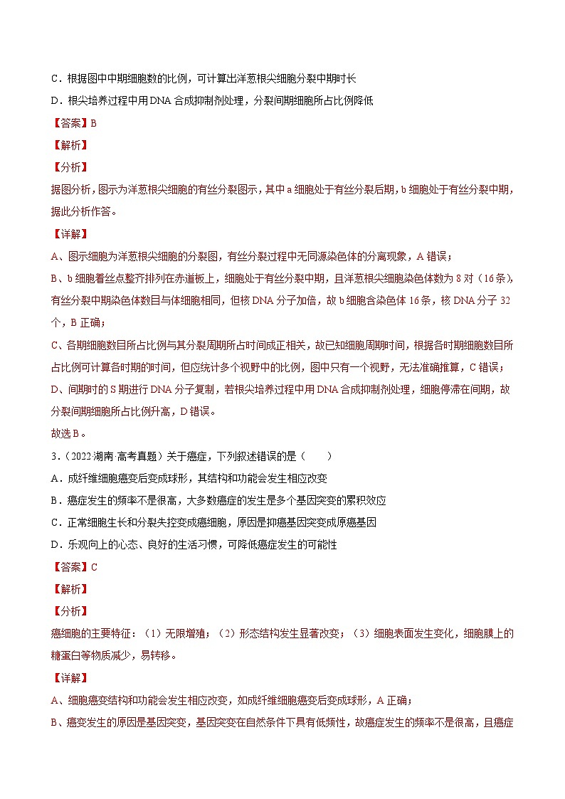专题04 细胞的生命历程（包括减数分裂）——【新高考专用】2020-2022三年高考真题生物分类汇编（原卷版+解析版）02
