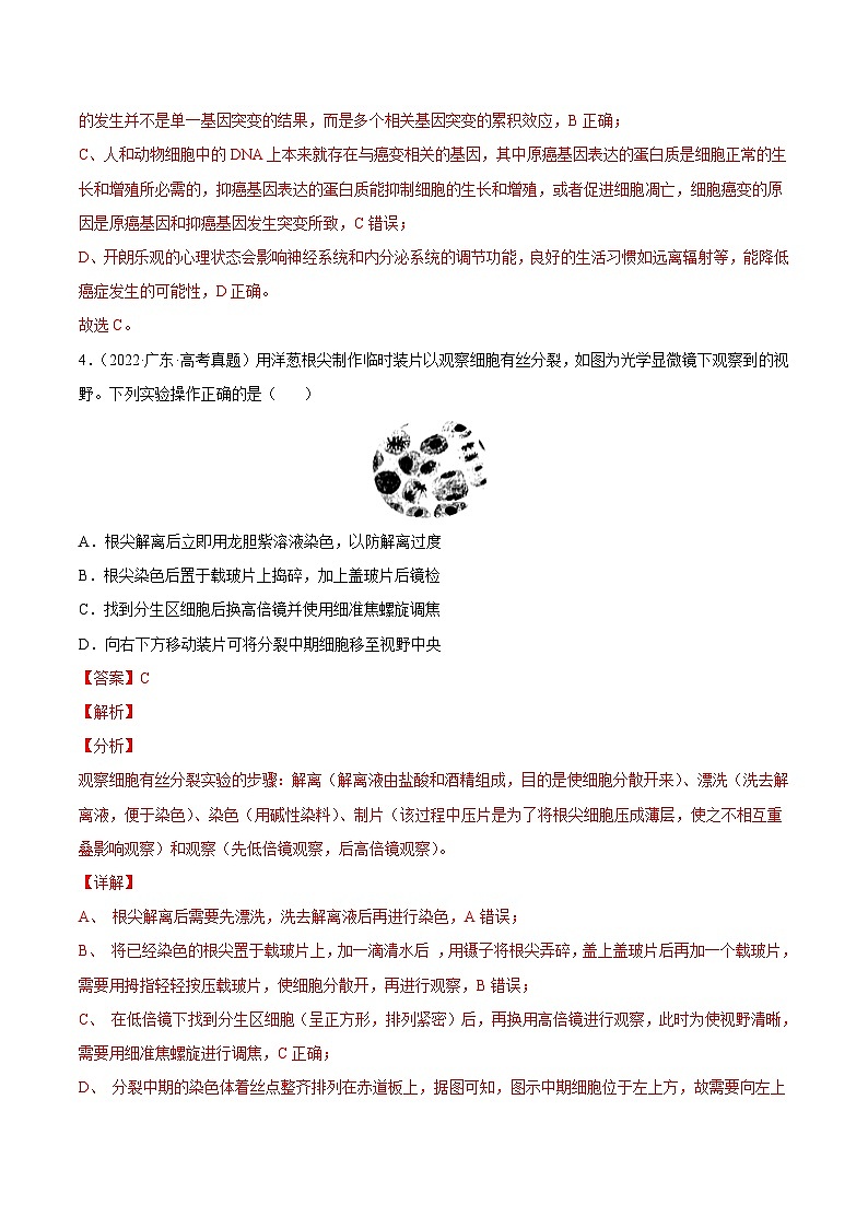 专题04 细胞的生命历程（包括减数分裂）——【新高考专用】2020-2022三年高考真题生物分类汇编（原卷版+解析版）03