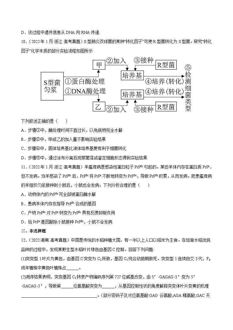 专题05 遗传的分子基础——【新高考专用】2020-2022三年高考真题生物分类汇编（原卷版+解析版）03