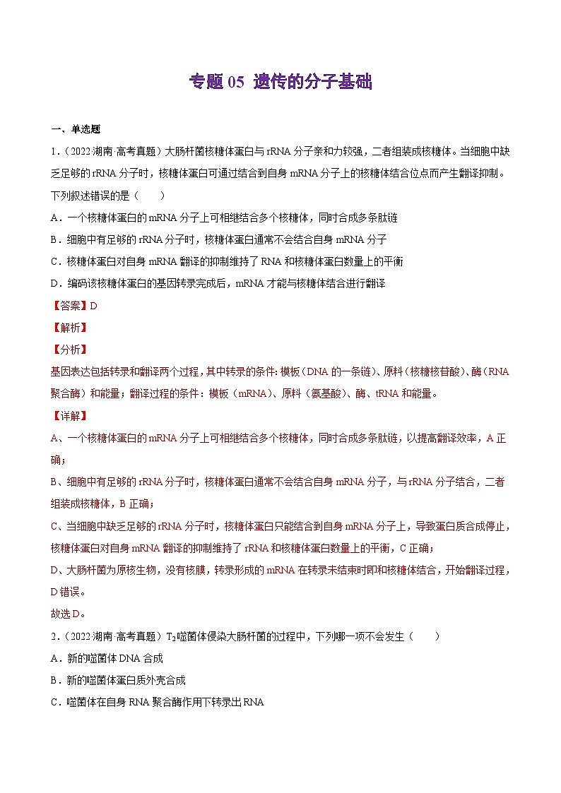 专题05 遗传的分子基础——【新高考专用】2020-2022三年高考真题生物分类汇编（原卷版+解析版）01