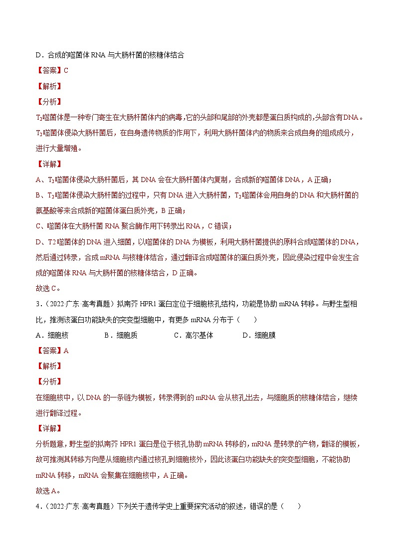 专题05 遗传的分子基础——【新高考专用】2020-2022三年高考真题生物分类汇编（原卷版+解析版）02