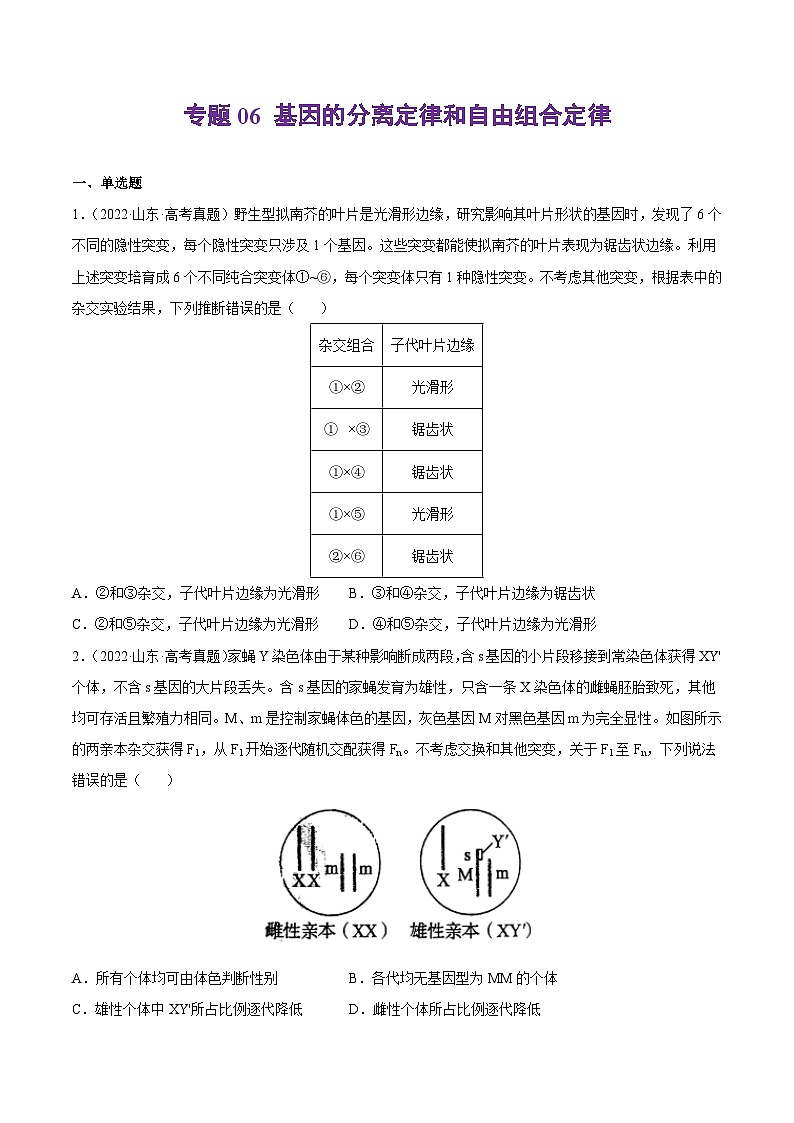 专题06 基因的分离定律和自由组合定律——【新高考专用】2020-2022三年高考真题生物分类汇编（原卷版+解析版）01