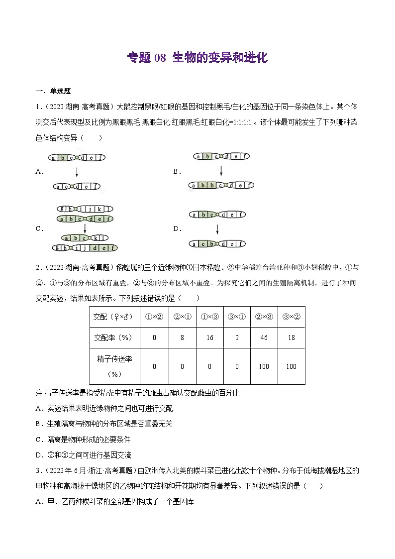 专题08 生物的变异和进化——【新高考专用】2020-2022三年高考真题生物分类汇编（原卷版+解析版）01