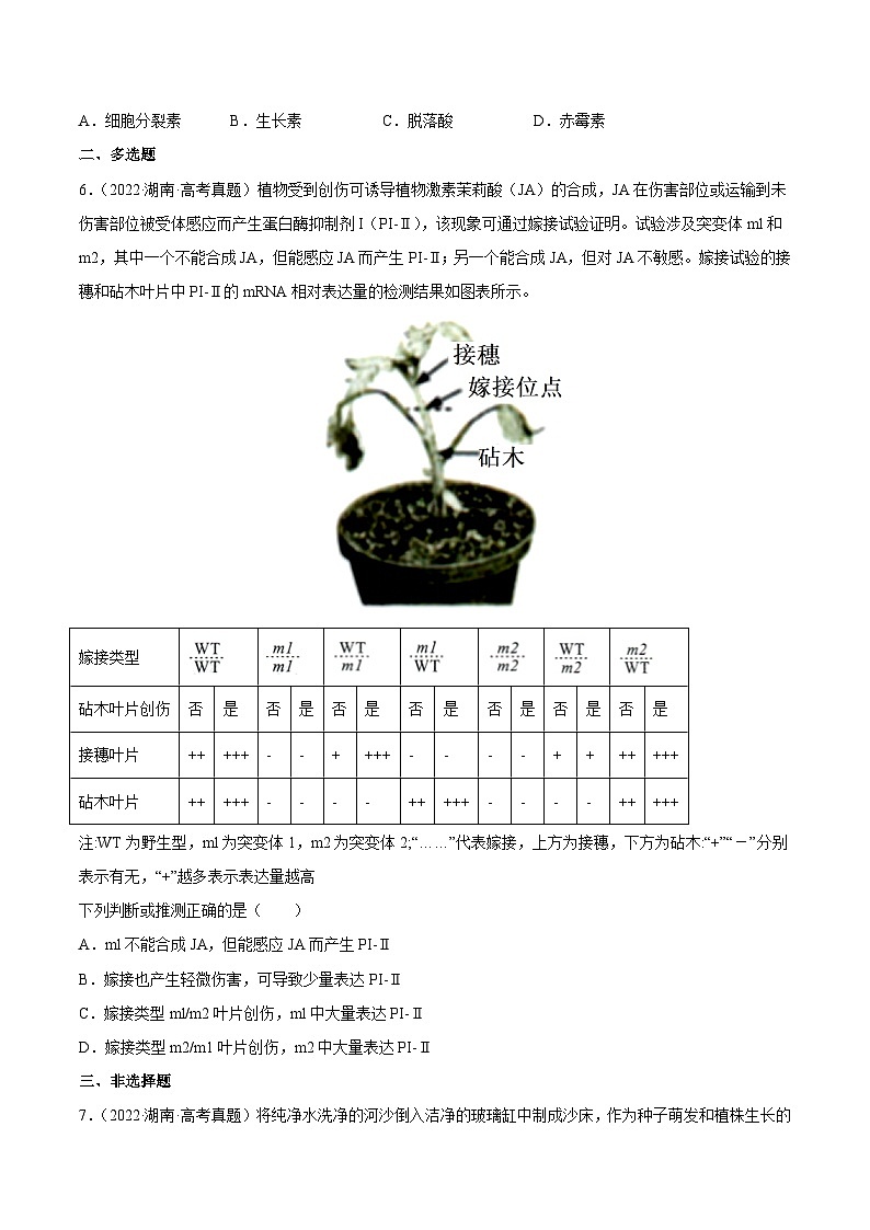 专题10 植物生命活动的调节——【新高考专用】2020-2022三年高考真题生物分类汇编（原卷版+解析版）02