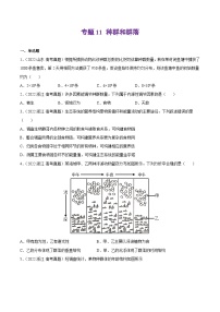 专题11 种群和群落——【新高考专用】2020-2022三年高考真题生物分类汇编（原卷版+解析版）