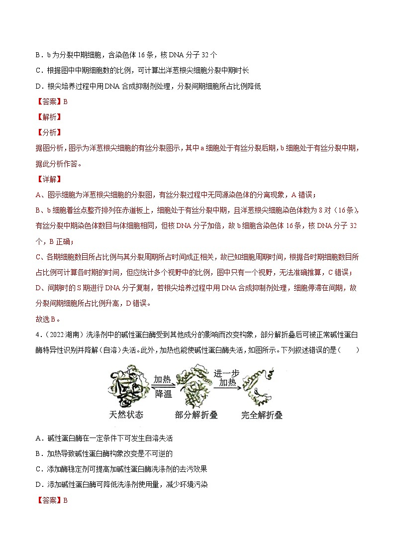 专题15 实验与探究——【新高考专用】2020-2022三年高考真题生物分类汇编（原卷版+解析版）03