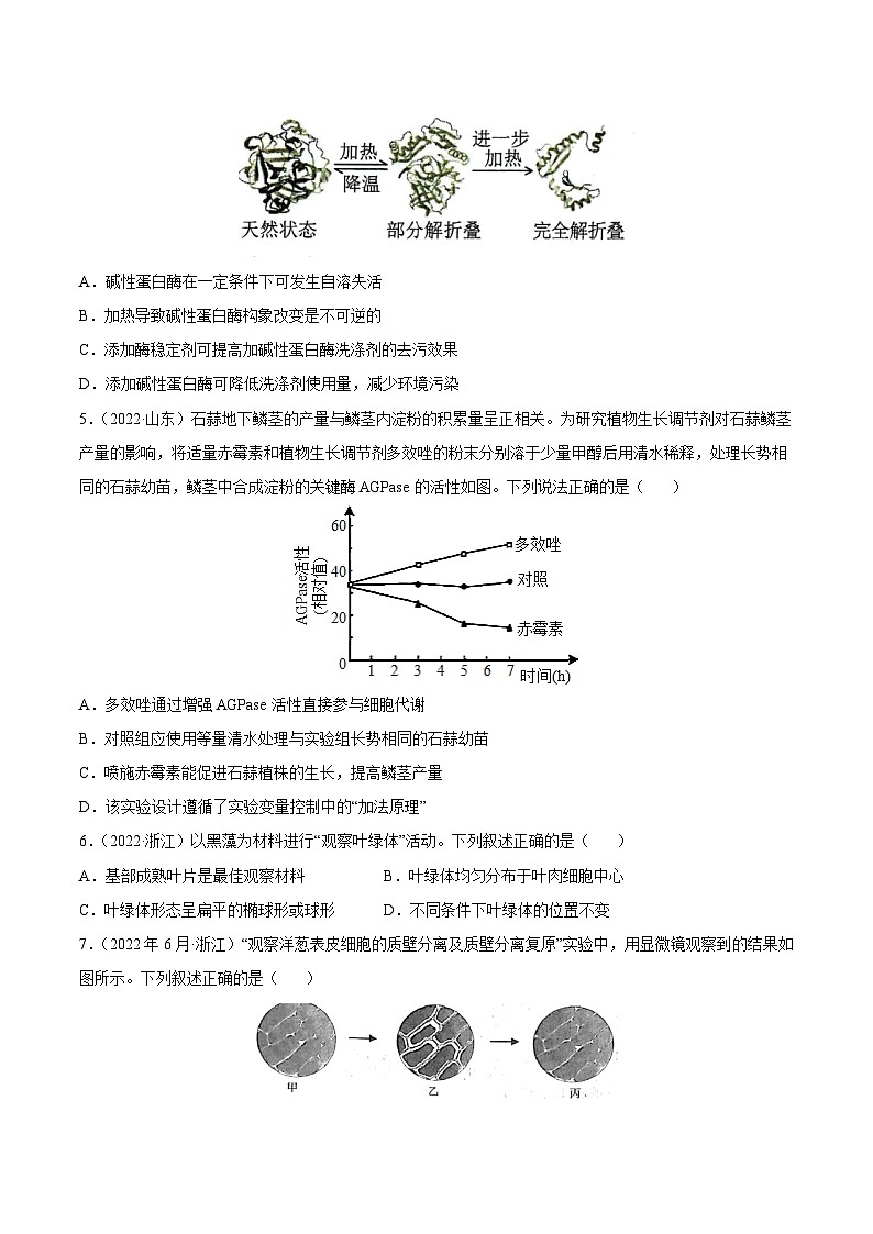 专题15 实验与探究——【新高考专用】2020-2022三年高考真题生物分类汇编（原卷版+解析版）02
