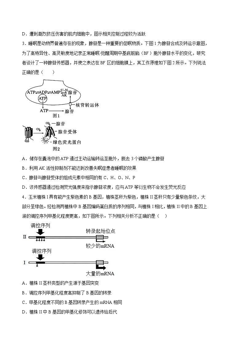 2023年高考考前押题密卷：生物（天津卷）（考试版）第2页
