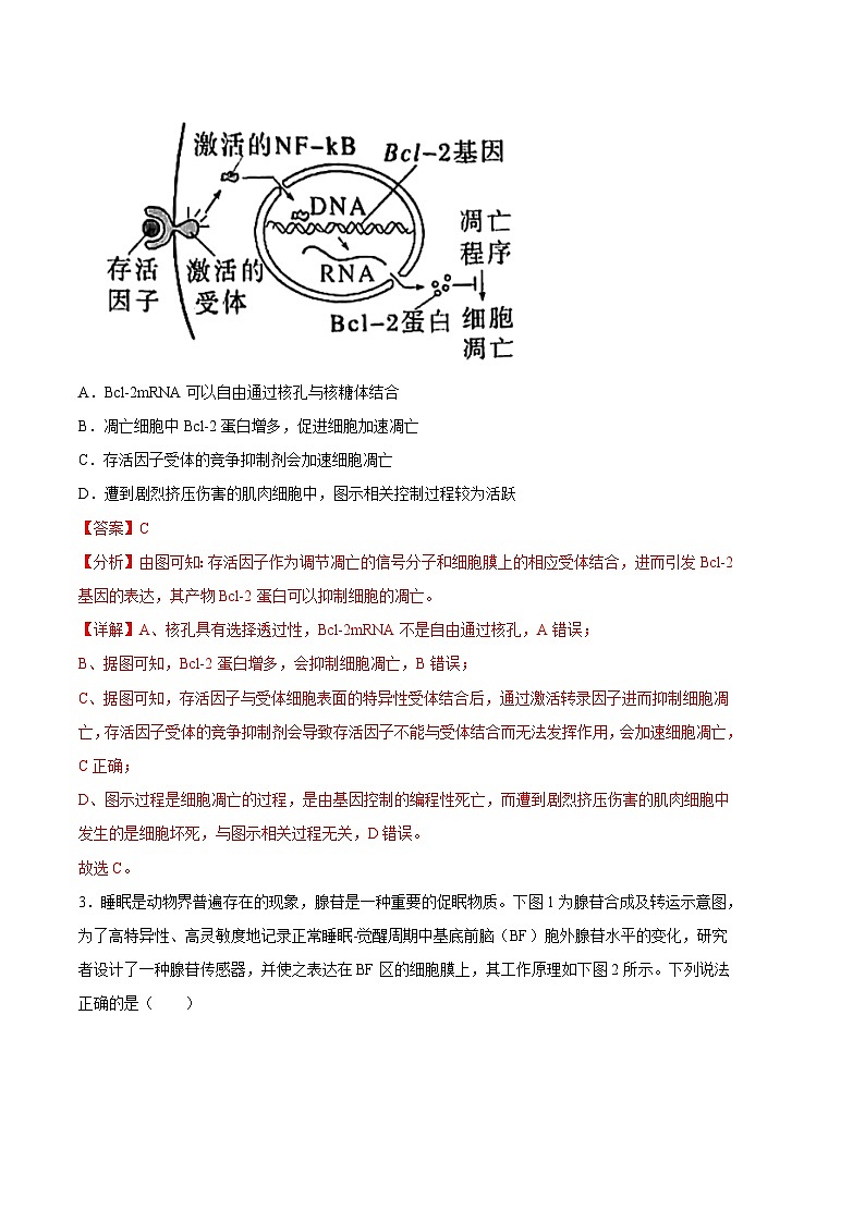 2023年高考考前押题密卷：生物（天津卷）（全解全析）02