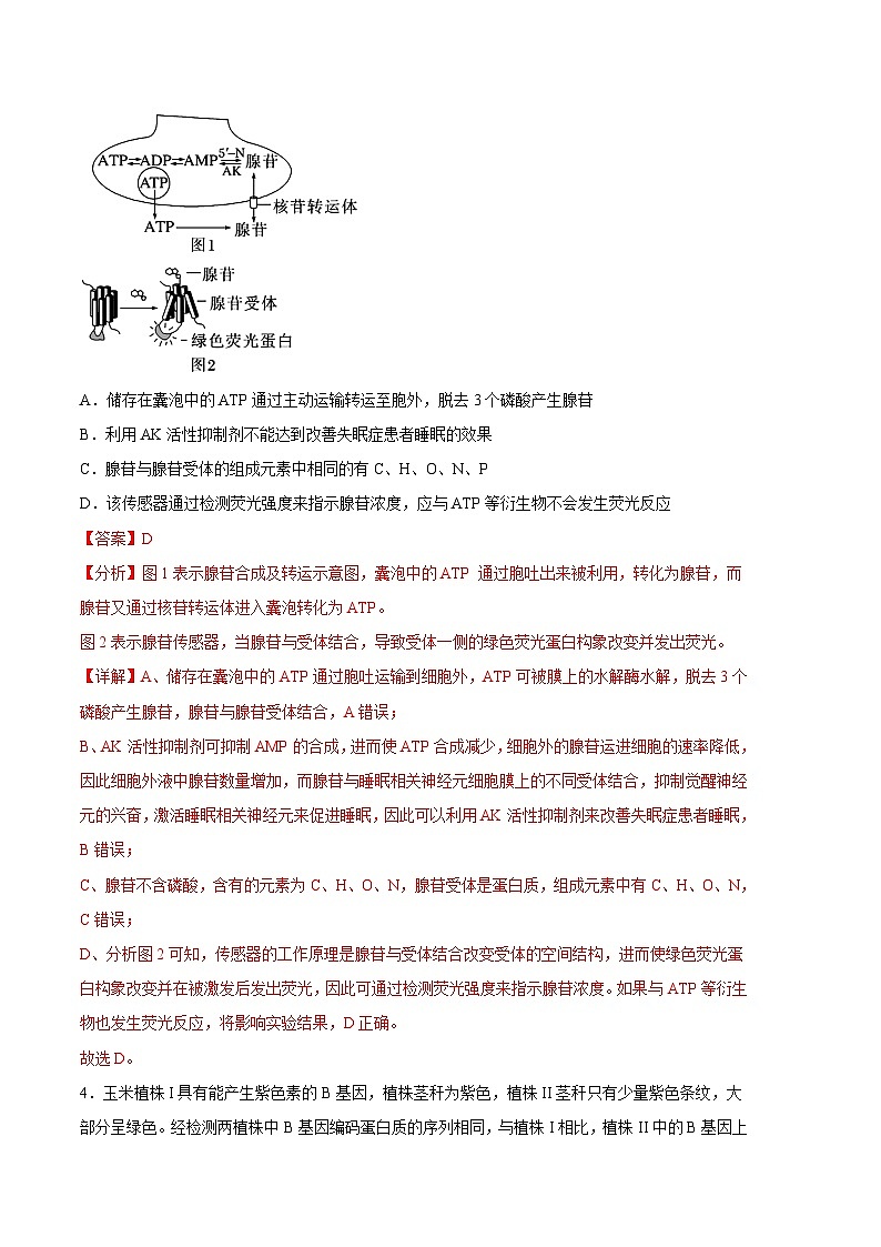 2023年高考考前押题密卷：生物（天津卷）（全解全析）03