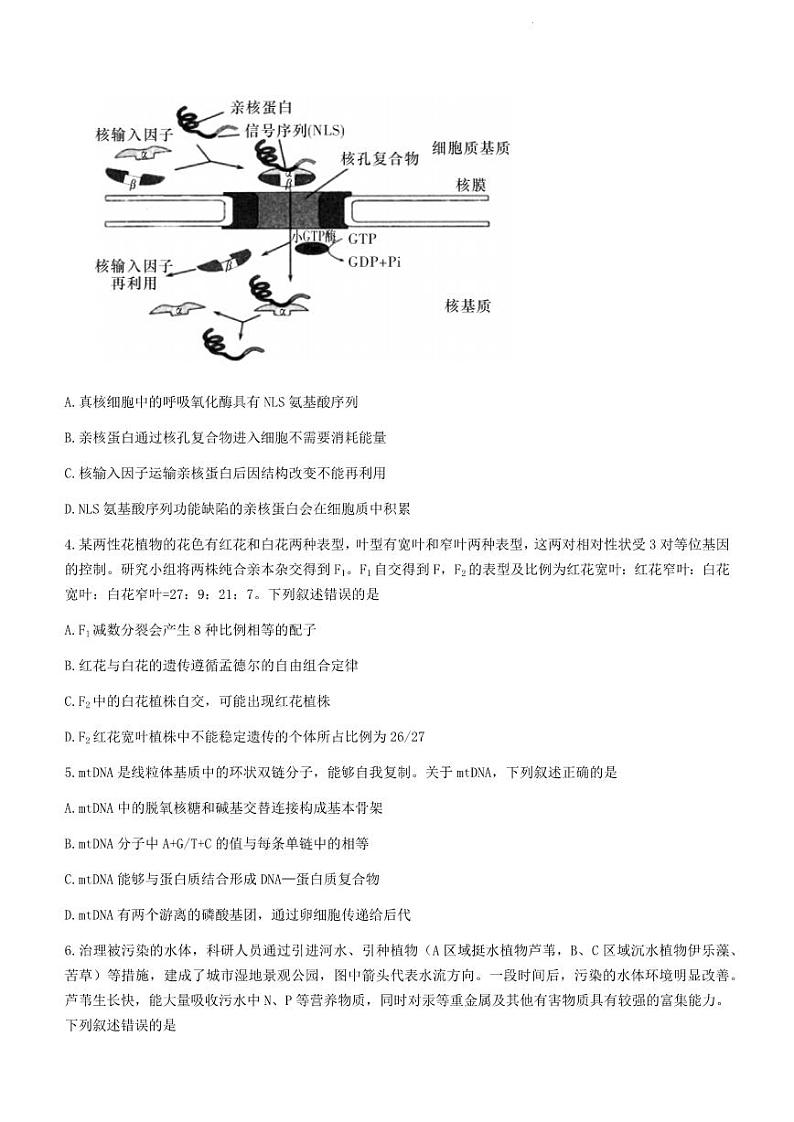 湖南省娄底市2023届高考仿真模拟考试高三四模生物试题02