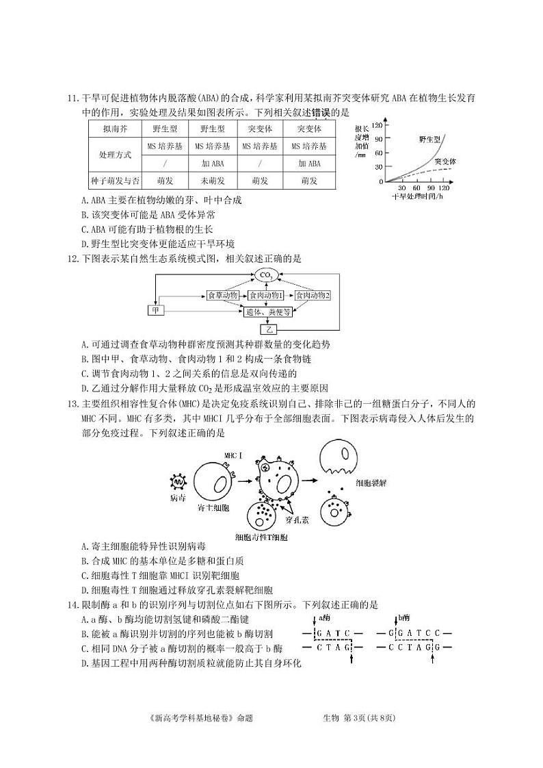 生物终稿第3页