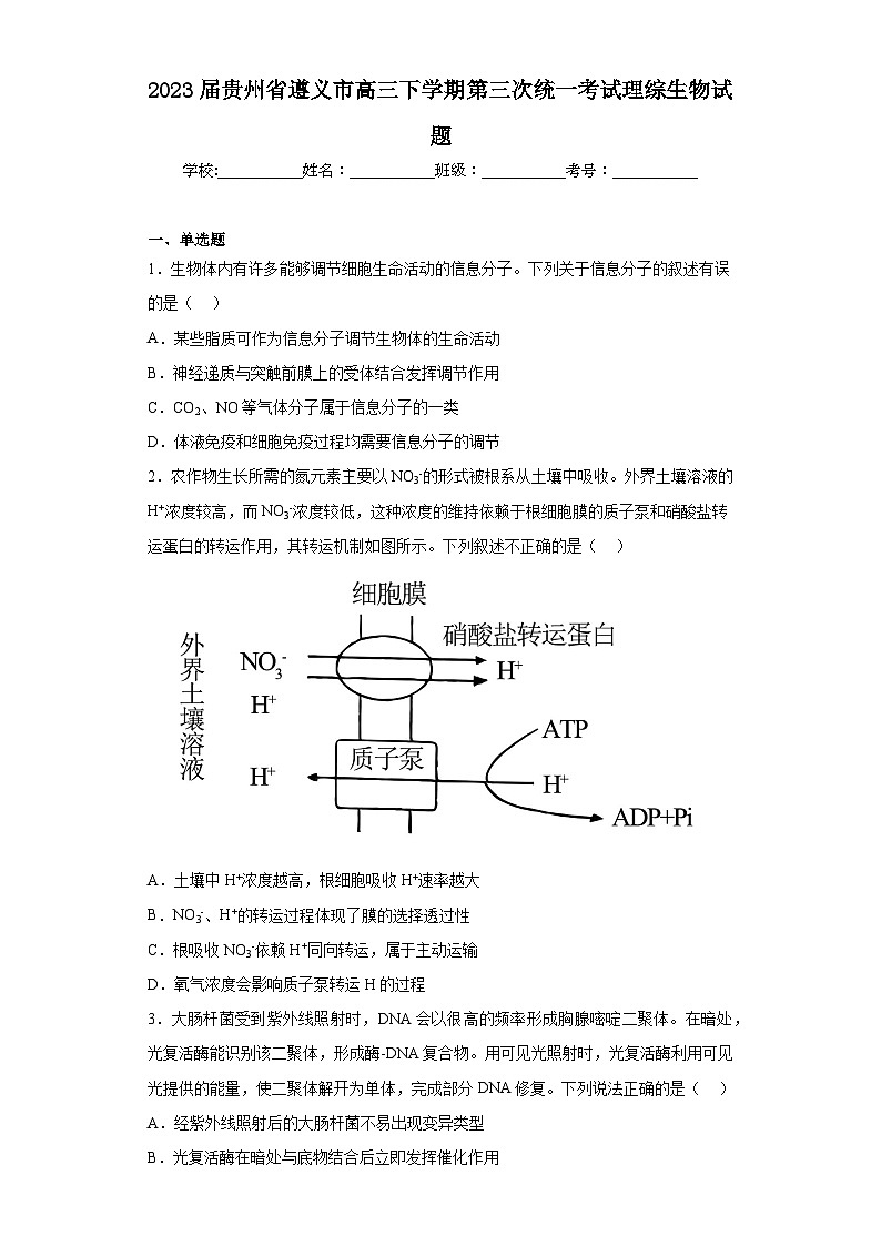 2023届贵州省遵义市高三下学期第三次统一考试理综生物试题（含答案）第1页