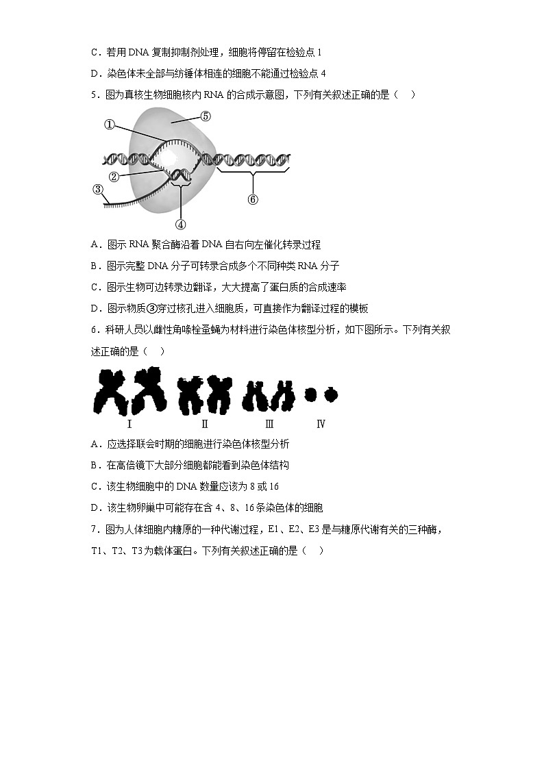 2023届江苏省南京市高三二模生物试题（含答案）第2页