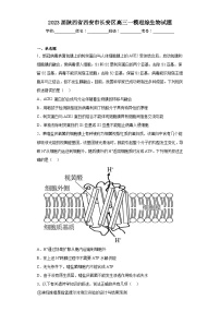 2023届陕西省西安市长安区高三一模理综生物试题（含答案）