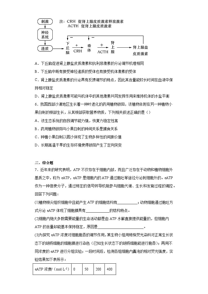 2023届四川省成都市外国语学校高三三模理综生物试题（含答案）02