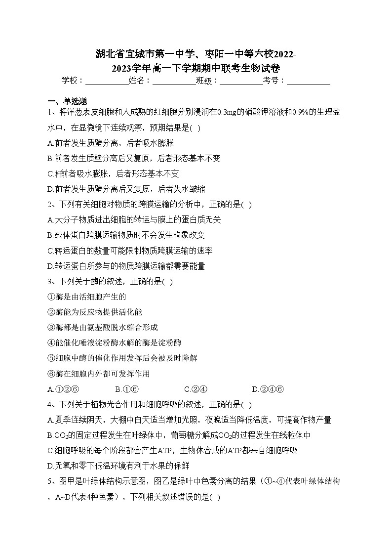 湖北省宜城市第一中学、枣阳一中等六校2022-2023学年高一下学期期中联考生物试卷（含答案）第1页