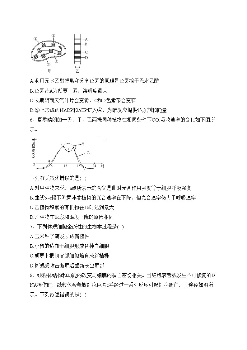 湖北省宜城市第一中学、枣阳一中等六校2022-2023学年高一下学期期中联考生物试卷（含答案）第2页
