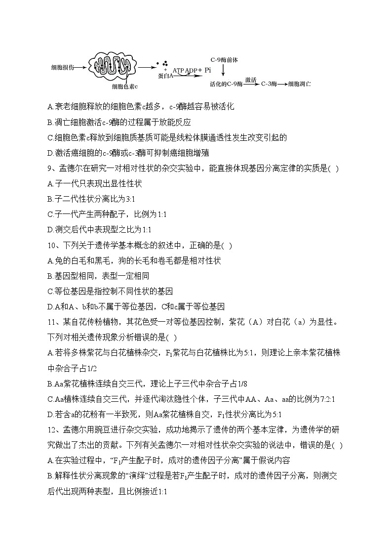 湖北省宜城市第一中学、枣阳一中等六校2022-2023学年高一下学期期中联考生物试卷（含答案）第3页
