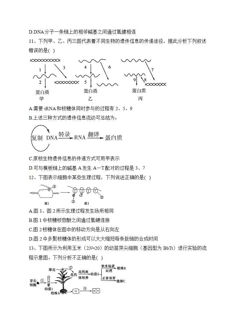 佳木斯市第一中学校2021-2022学年高一下学期期末考试生物（理）试卷（含答案）03