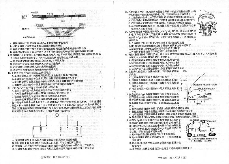 2021-2022学年河南省名校联盟高二上学期期末考生物试题PDF版含答案02