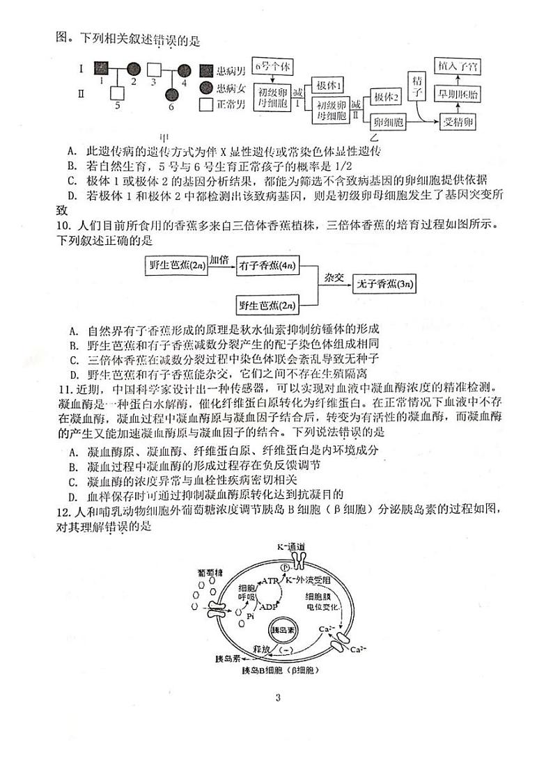 2022-2023学年湖北省恩施州教育联盟高三上学期期末联考生物试题PDF版含答案第3页