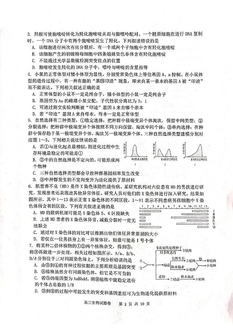 2022-2023学年辽宁省营口市高三上学期期末考试生物试题PDF版含答案02
